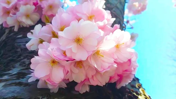 Fleur Cerisier Rose Sakura Fleurs Peinture Huile Filtre Fond — Photo