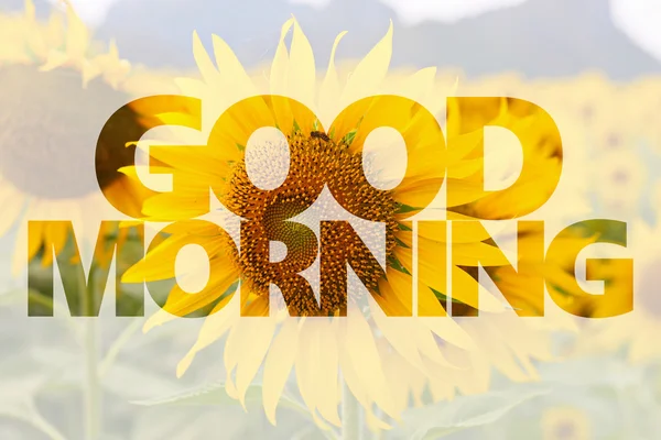 Good Morning Word Sunflower Background — Stockfoto