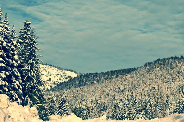 Wunderschöne Winterlandschaft Mit Schneebedeckten Bäumen Vintage Stil — Stockfoto