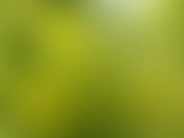 Πράσινο Αφηρημένη Θολή Φόντο — Φωτογραφία Αρχείου