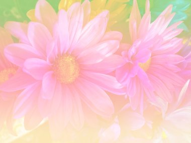Arka grup için renk filtresi bulanıklığı biçimi ile yapılmış çiçekler