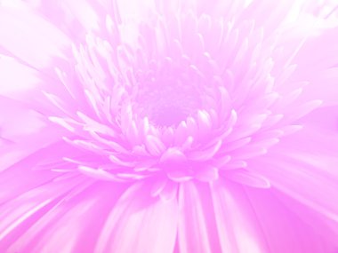 Arkaplan için renk filtresi bulanıklığı biçimi ile yapılmış çiçek