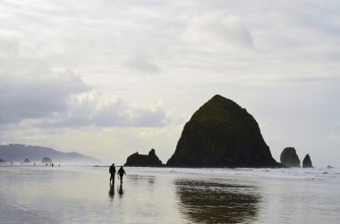 Bulutlu bir günde sahilde uçurumlarla yürüyen insanların siluetleri.
