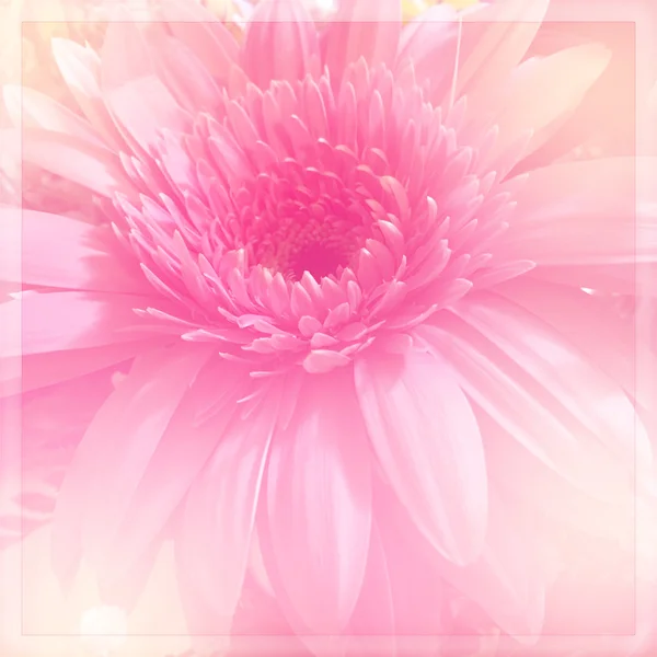 Flower Made Color Filter Blur Style Backgroun — 스톡 사진