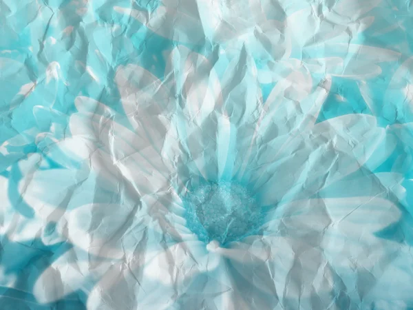 Сині Квіти Фоновий Кольоровий Фільтр Текстурі Паперу — стокове фото