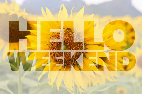 Hello Weekend Word Sunflower Background — Stock Photo, Image