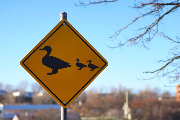Duck Crossing Aviso Rodoviário — Fotografia de Stock
