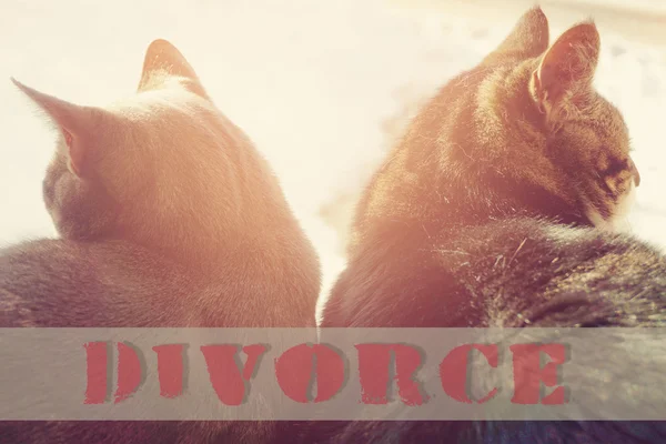 Divorce Concept Broken Relationships Word — Stock Photo, Image