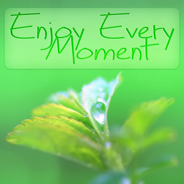 Aproveite Cada Momento Citação Inspiradora Motivacional — Fotografia de Stock