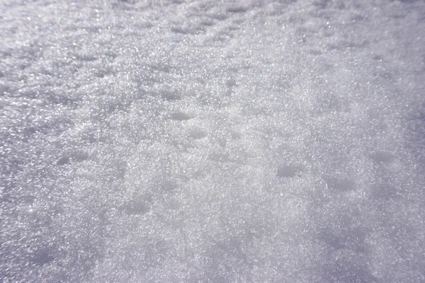 Textura Nieve Blanca Brillando Sol —  Fotos de Stock