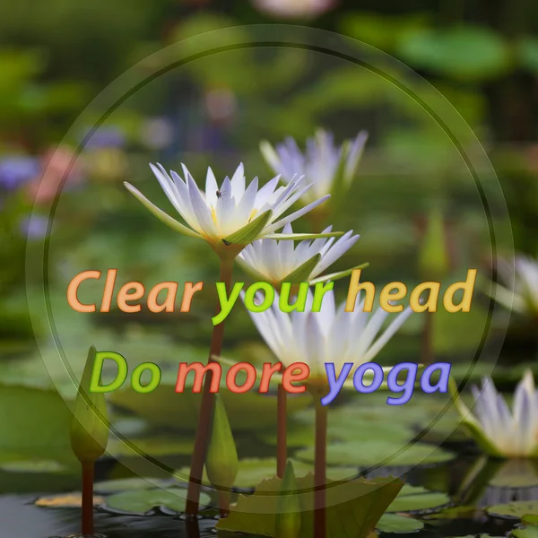 Clear Your Head More Yoga Motivational Quote Lotus Backgroun — 스톡 사진