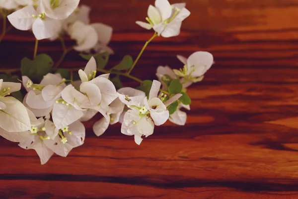 Flores Brancas Fundo Madeira Velha Com Espaço Cópia — Fotografia de Stock