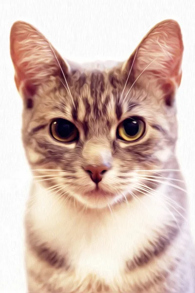Abstrakt Akvarell Bakgrund Katt Målning Textur Illustration — Stockfoto