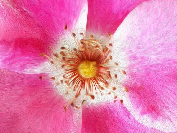 Abstract Roze Bloem Achtergrond Olieverf Effect — Stockfoto