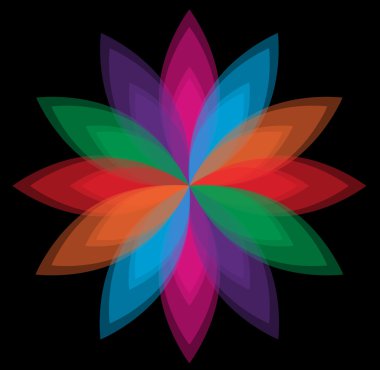 Siyah arkaplanda renkli çiçek vektörü 