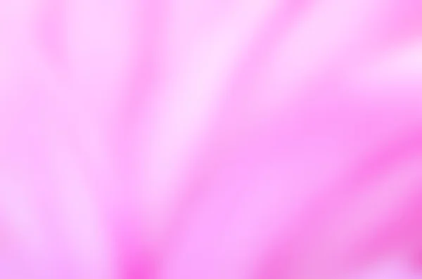 Abstract Pink Gradient Smooth Blurred Backgrounds Design — 스톡 사진