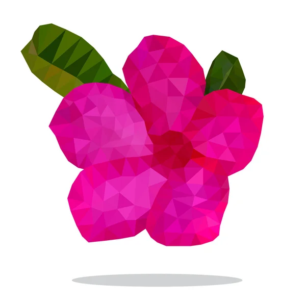 Schönes Heißes Rosa Der Wüstenrose Blume Niedriges Polygon — Stockfoto