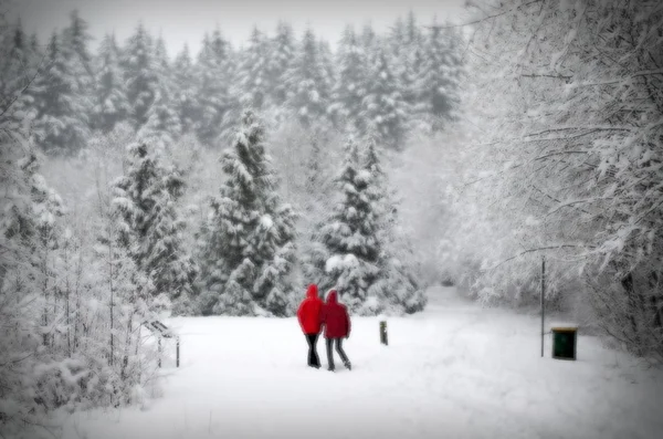 blurry defocused image of couple in park in snow day