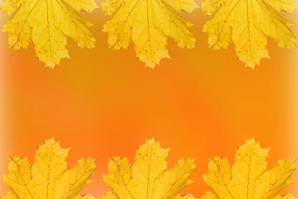 Turuncu Sonbahar Sesi Duvar Kağıdı Arka Plan Textur — Stok fotoğraf