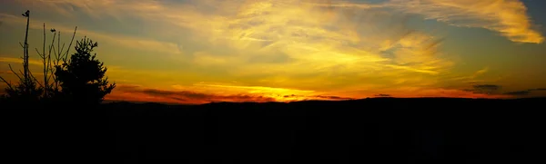 Atardecer Mágico Con Árbol Para Bandera Fondo — Foto de Stock