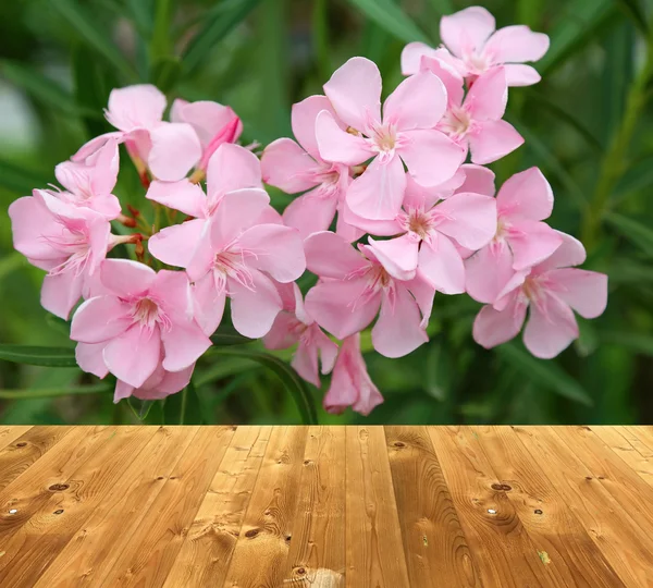 De vloer en roze bloem houten stijl voor weergave van product of bac — Stockfoto