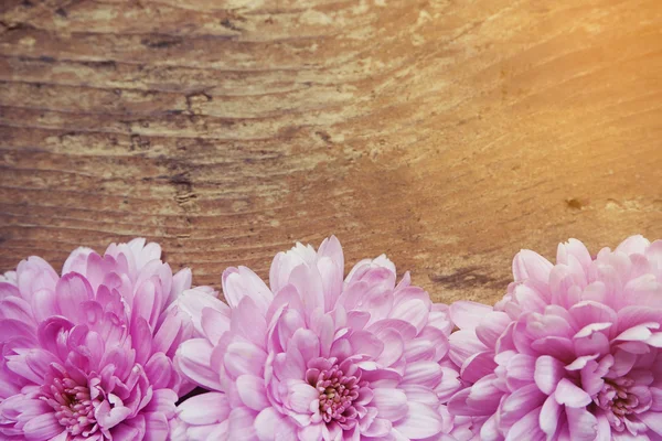 Ροζ λουλούδια σε ξύλινο φόντο — Φωτογραφία Αρχείου