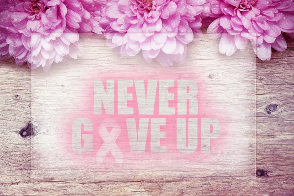 Rosafarbene Blumen auf Holz mit dem Wort "niemals aufgeben" — Stockfoto