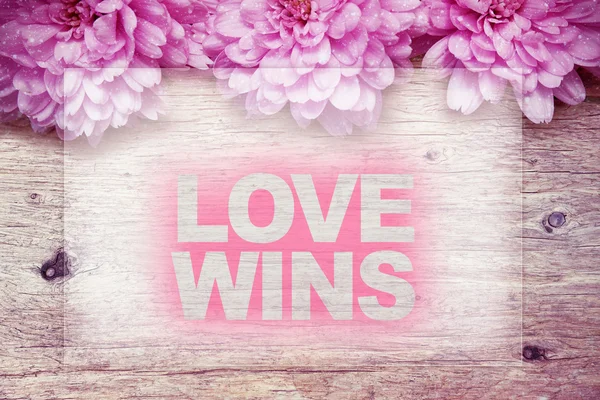 Flores de color rosa sobre madera con la palabra LOVE WINS — Foto de Stock