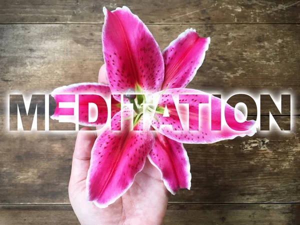 Женщина держит за руку розовую лилию со словом Медитация — стоковое фото