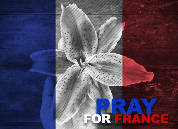 France national flag with hand holding flower with word Pray for — Stock Photo, Image