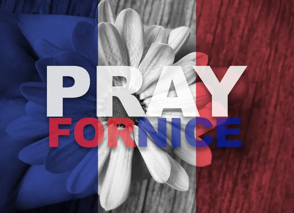 Bandera nacional de Francia con la mano sosteniendo la flor con la palabra Rezar por —  Fotos de Stock