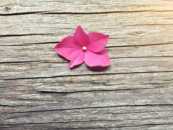Ροζ λουλούδι σε ξύλινα φόντο με αντίγραφο χώρου — Φωτογραφία Αρχείου