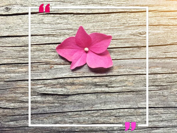 Порожня рамка цитати на рожевому квітковому фоні з пробілом для копіювання — стокове фото
