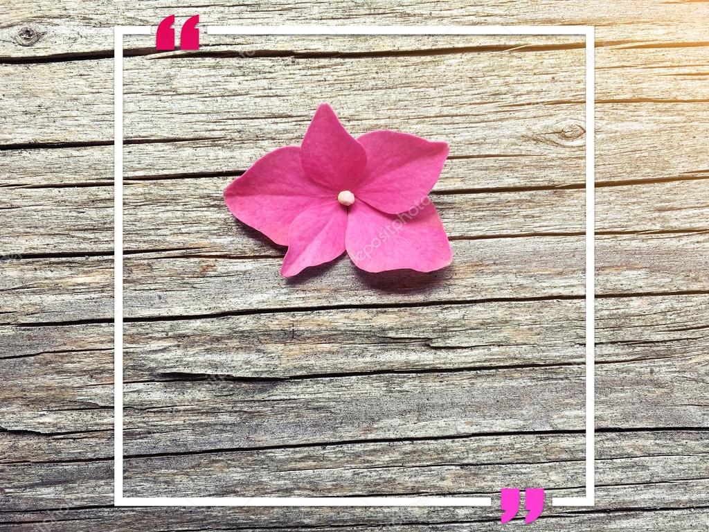 quote background blank Wpa wpart quote background blank Wpa wpart