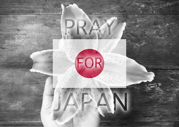 Προσευχηθείτε για την Ιαπωνία σε φόντο λουλούδι — Φωτογραφία Αρχείου