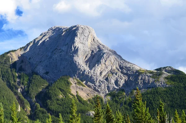 Vackra nationalpark för bakgrunden av naturen — Stockfoto