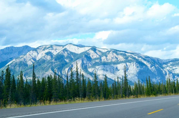 Montagne et arbres sur la route, arrière-plan du parc national — Photo