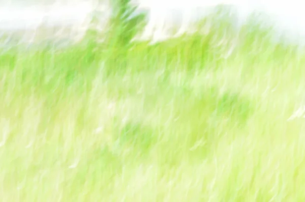 Abstrakt grön rörelseoskärpa natur bakgrund — Stockfoto