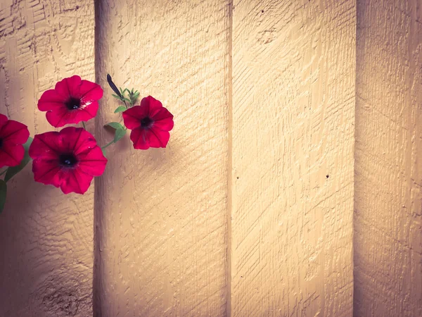 Λουλούδι στην ζωγραφισμένα ξύλινα φόντο στυλ vintage — Φωτογραφία Αρχείου