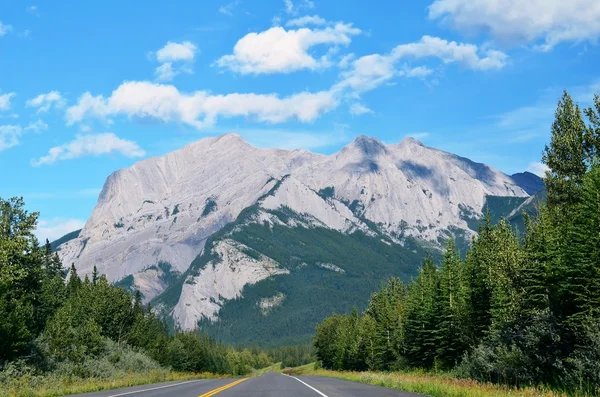 Mountain and trees on the road trip, national park background — Stock Photo, Image