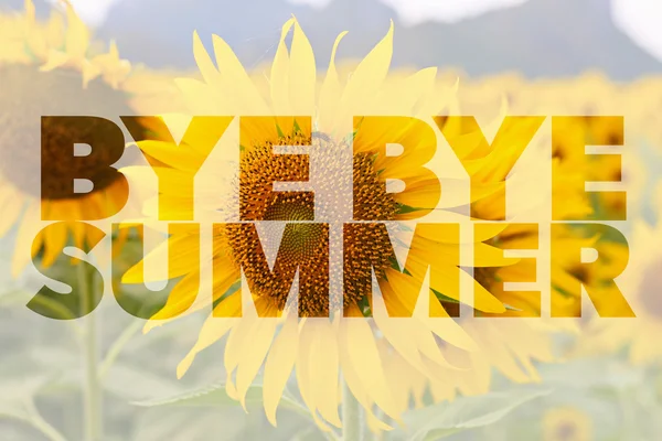 Bye Bye Summer word on sunflower background — Stock Photo, Image