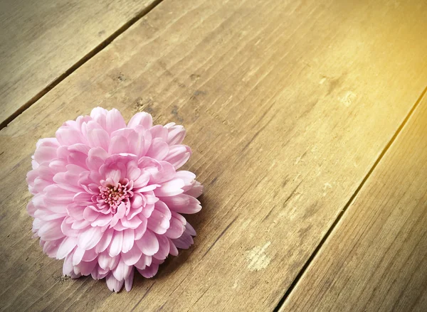 粉红色的花上模糊的木制背景与副本空间 — 图库照片
