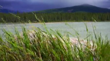 yeşil çimenler rüzgarda sallanıyor gölde ve dağda