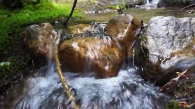 Küçük dere ve yeşil yosun ve ses doğanın taşlarla