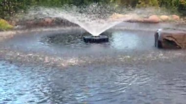 Bahçe sesli çeşme