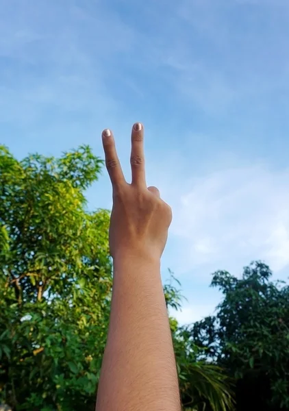 Una mano fa un segno di pace contro il cielo blu e l'albero — Foto Stock