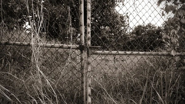 Old metal fence in sepia style — Stock Photo, Image