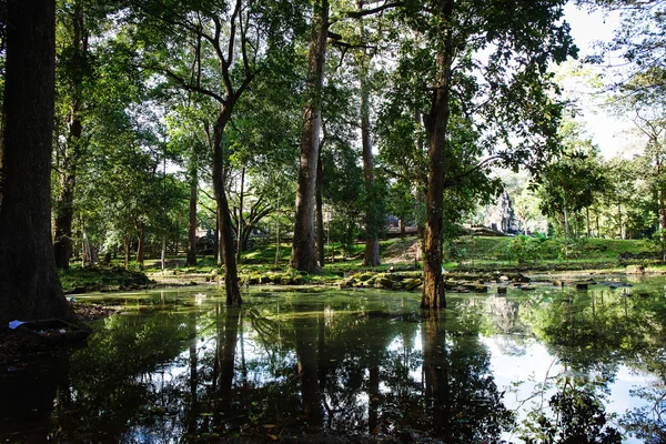 Gröna djungeln i Kambodja — Stockfoto