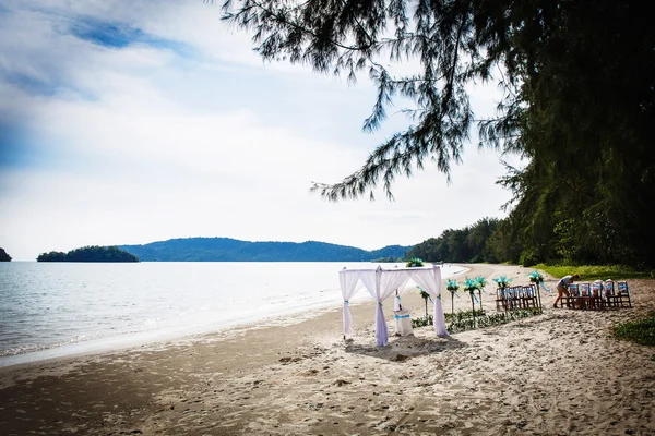 Tay düğün dekorasyon