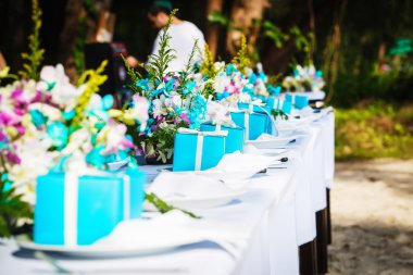 Düğün kutlamaları